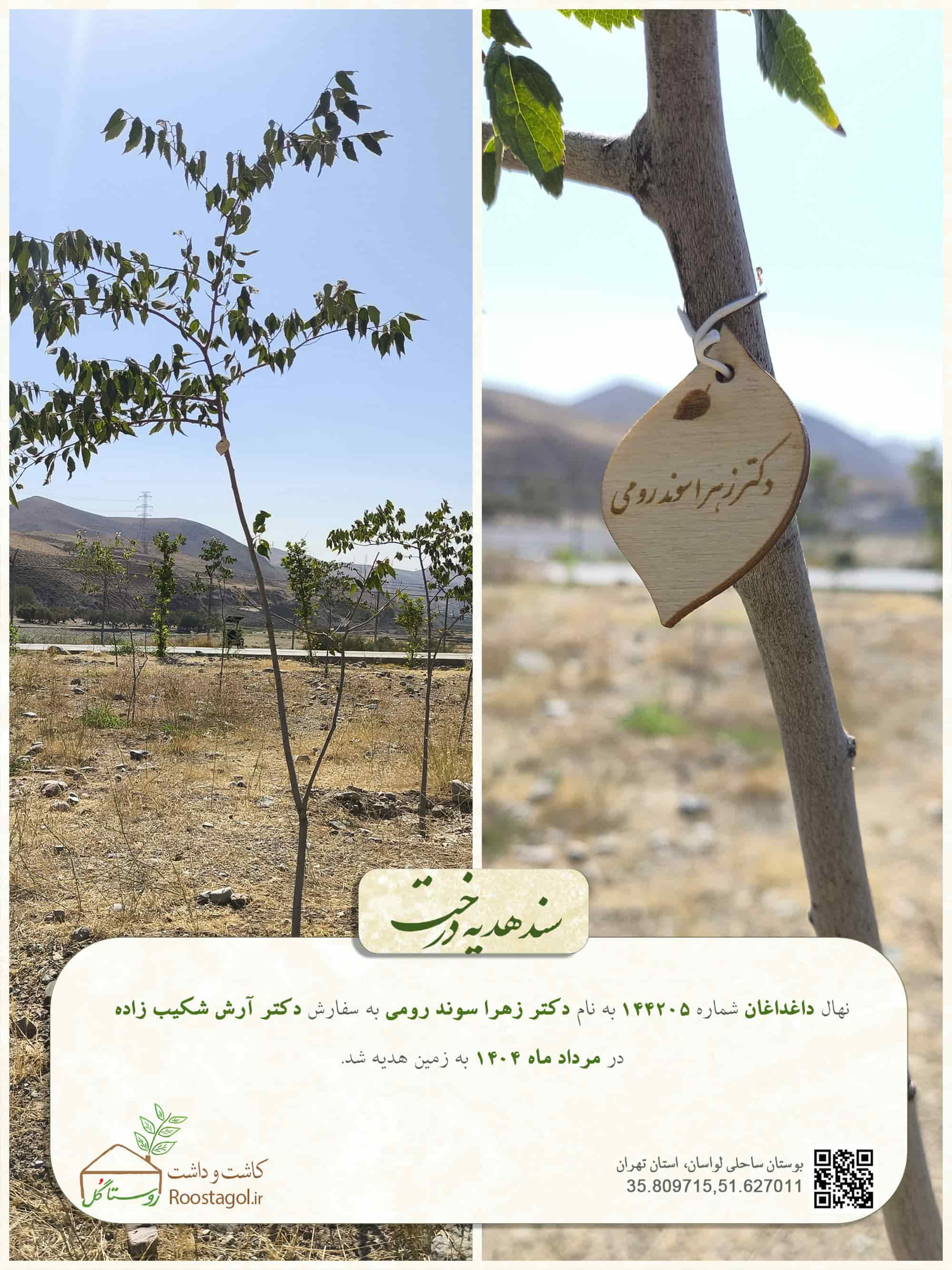 دکتر زهرا سوند رومی
